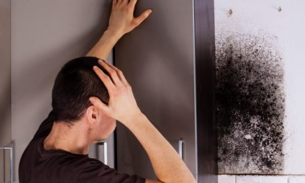 How mold makes people sick