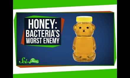 The powers and dangers of honey