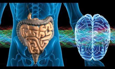 What no one teaches you about health
