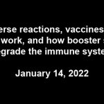 Adverse reactions, vaccines that don’t work, and how booster shots degrade the immune system